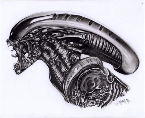 xenomorph dibujo